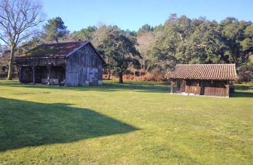 Vielle-Saint-Girons Apartment | 6 Room apatement between forest and ocean