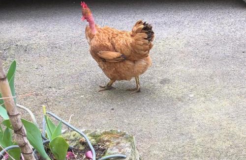 Corre House | 7 Métris