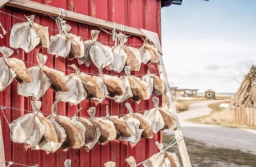 Nørre Lyngvig House | 7 person holiday home in Hvide Sande-By Traum
