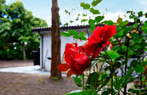 Ballum House | 7 person holiday home in Bredebro
