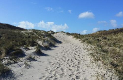 Nørre Lyngvig House | 7 person holiday home in Hvide Sande-By Traum