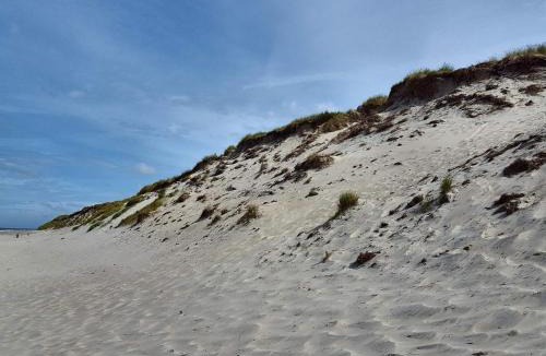Nørre Lyngvig House | 7 person holiday home in Hvide Sande-By Traum