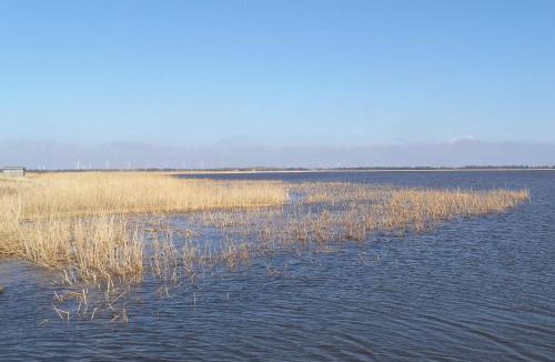 Sønder Nissum House | 7 person holiday home in Ulfborg-By Traum
