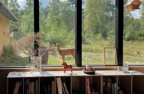 Store Fuglede House | 70s home in forest near Jammerland Bay