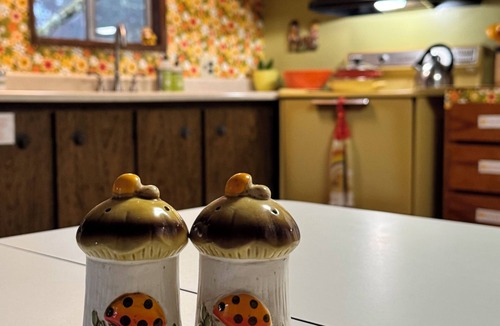 Roseburg House | 70s Retro Lounge