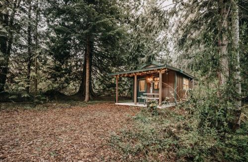 Maple Falls House | 72MF - Rustic - Pets Ok - Sleeps 2 cabin