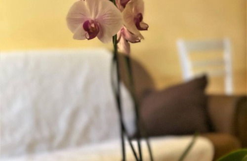 Ferrals-les-Corbieres House | 73 m² Apartment ∙ 2 bedrooms ∙ 4 guests
