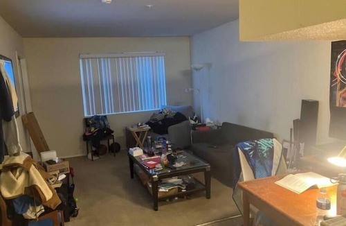San Ramon Apartment | 750 sq ft, carpeted, futon.