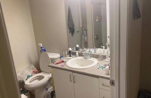 San Ramon Apartment | 750 sq ft, carpeted, futon.