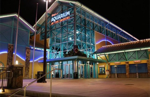 Gatlinburg House | 8 Bears Lodge