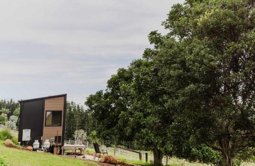 Cumbalum House | 8 Farm Macadamia Plantation 1 by Tiny Away