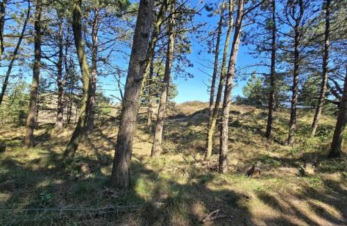 Kongsmark House | 8 person holiday home in Rømø-By Traum