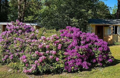 Rrvig House | 8 person holiday home in Rørvig