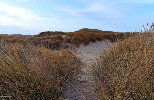 Klegod Strand House | 8 person holiday home in Ringkøbing