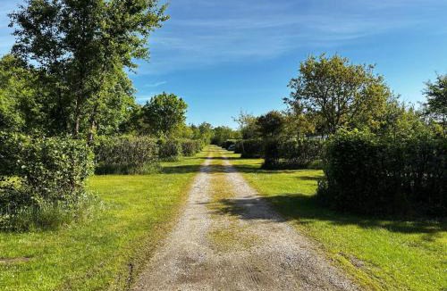 Aalbaek House | 8 person holiday home in Ålbæk-By Traum