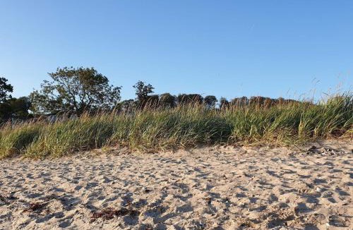 Aabenraa House | 8 person holiday home in Aabenraa-By Traum