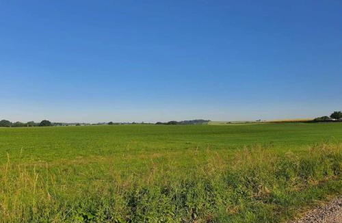 Diernæs Strandby House | 8 person holiday home in Haderslev