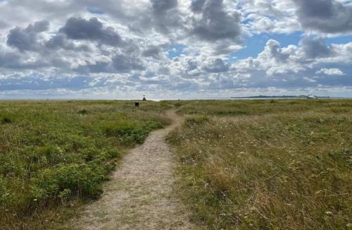 Diernæs Strandby House | 8 person holiday home in Haderslev