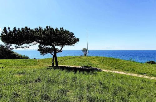 Hundested House | 8 person holiday home in Hundested