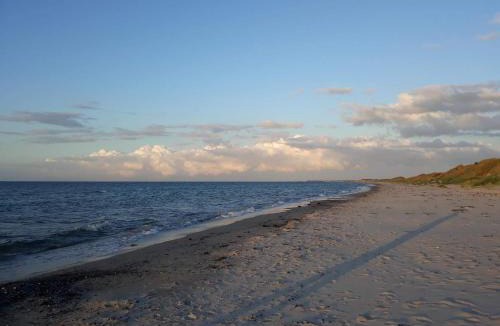 Læsø House | 8 person holiday home in Læsø-By Traum