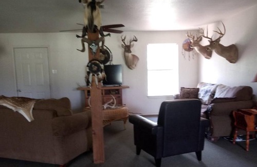 Hamilton House | 800 acre infested with wildlife !