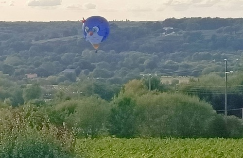 La Varenne House | 80m2 HOUSE between vineyards and LOIRE
