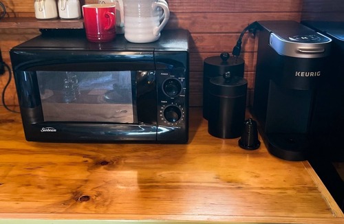 Waycross Cabin | 81 Pines-The Cabin