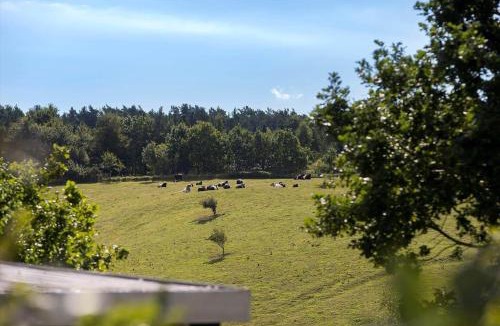 Femmøller House | 8403-Ebeltoft-Blackholmsvej-6