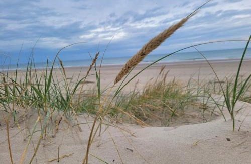 Hirtshals House | 9 person holiday home in Hirtshals-By Traum