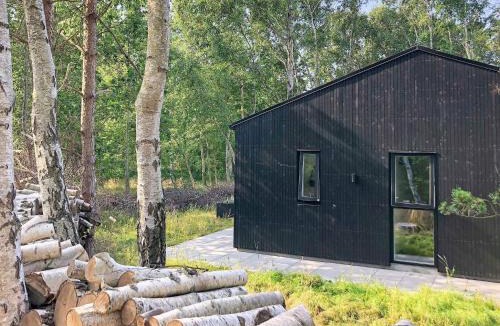 Vestero Havn House | 9 person holiday home in L s