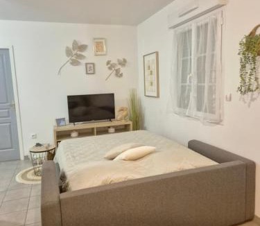 Tille Apartment | Aéroport à pied La signature doré