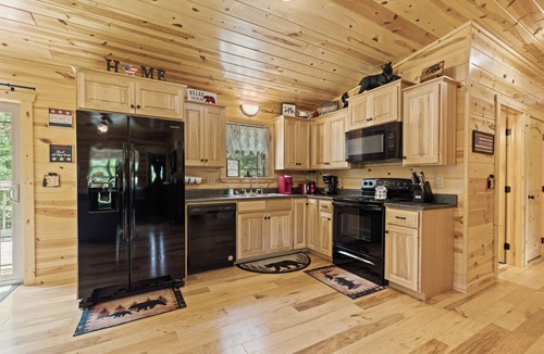 Pigeon Forge Cabin | A Bearadise