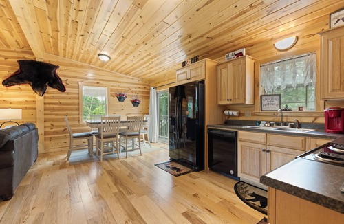 Pigeon Forge Cabin | A Bearadise