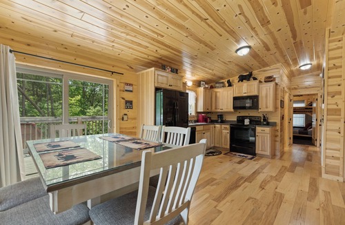 Pigeon Forge Cabin | A Bearadise