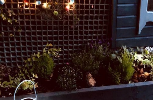 Felinfach Cabin | A beautiful, unique lodge, made for two