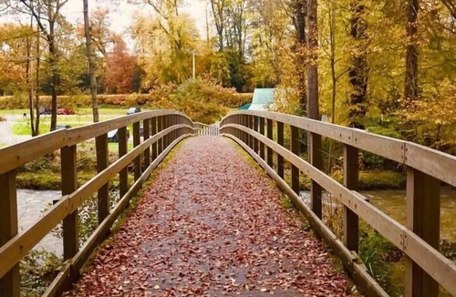 Felinfach Cabin | A beautiful, unique lodge, made for two