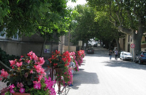 Caunes-Minervois House | A beautiful village house