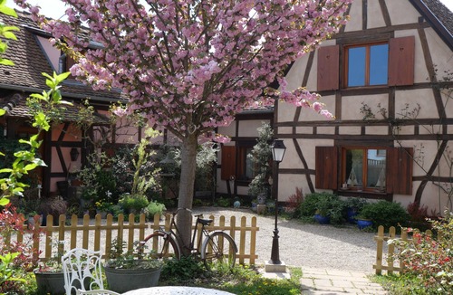 Hilsenheim House | A bouquet on a roof
