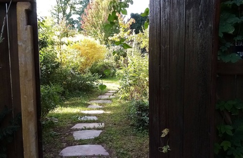 Hilsenheim House | A bouquet on a roof