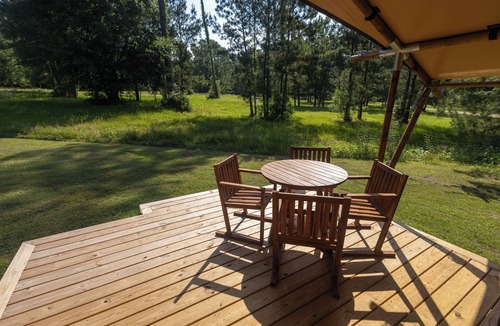 Onalaska RV Rental | A Calm and Cozy Lakeside Glamping Retreat Awaits