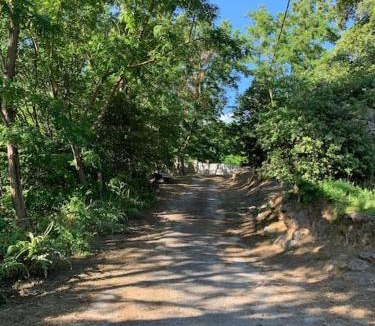 Ucciani House | A CANTINA