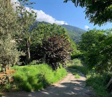 Ucciani House | A CANTINA