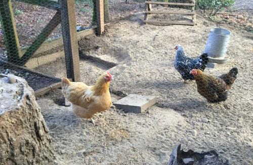 Bridle Trails Bed & Breakfast | A Cascade View Bed And Breakfast