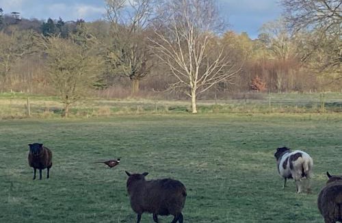 Hungerford House | A charming cottage in a beautiful setting.