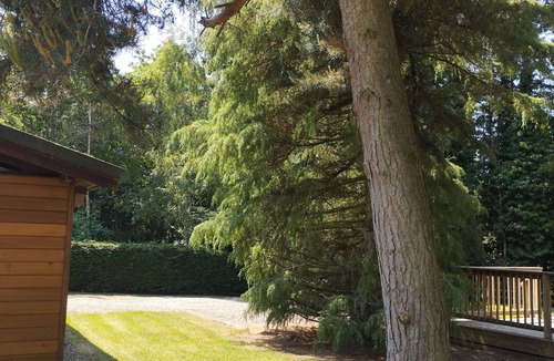 Thornton Steward Cabin | A charming & traditional Scandinavian log cabin within a tranquil setting.