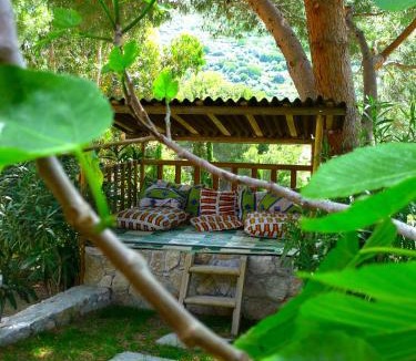 Corbara Bed & Breakfast | A ChiOsella