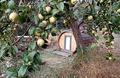 Tralonca Cabin | A Chjusella di E Sertine