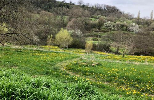 Ayen House | A Cozy Accessible Cottage with a Private Garden Le Mas No 16
