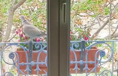 Aramon House | A deux pas d'Avignon