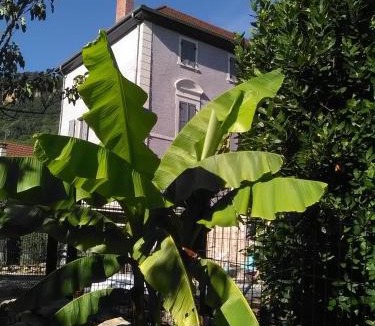 Villebois House | A deux pas du Rheby